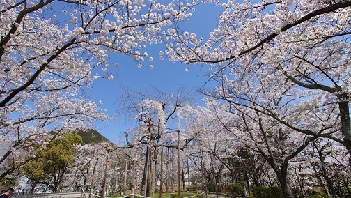 写真:ファクトリーパーク1